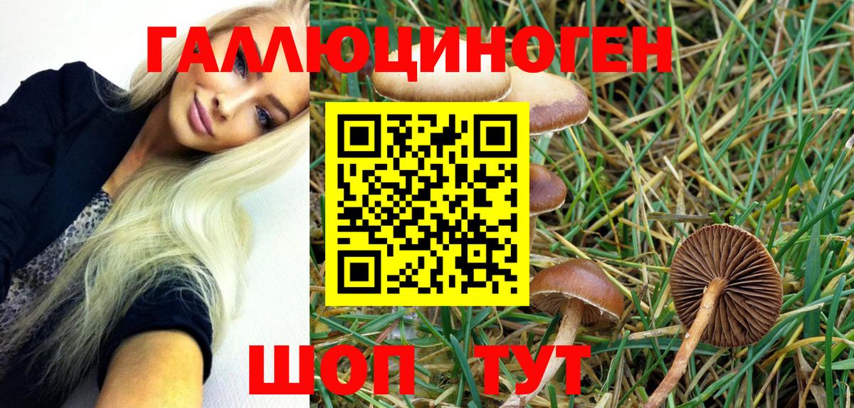 Копейск  закладки  Вход с VPN  Галлюциногенные грибы Magic Shrooms  Псилоцибиновые грибы MAGIC MUSHROOMS 