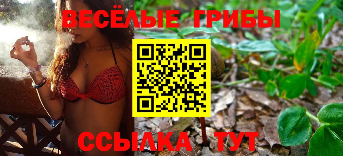 Псилоцибиновые грибы GOLDEN TEACHER Копейск